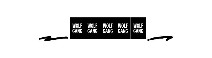 WOLF GANG SCRIPT SWASH  Free Fonts Download