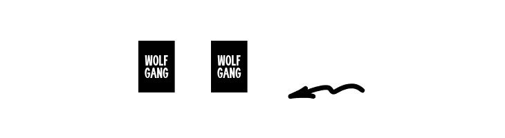 WOLF GANG SCRIPT SWASH  Free Fonts Download