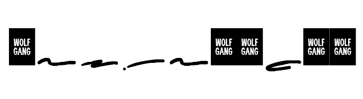 WOLF GANG SCRIPT SWASH  Free Fonts Download