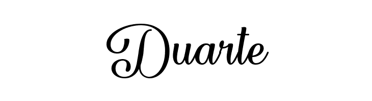 Forgiven Script Regular  Free Fonts Download