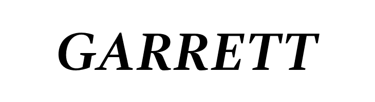 GandhiSerif-BoldItalic  Free Fonts Download