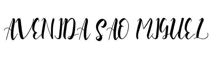 Slash Bold  Free Fonts Download