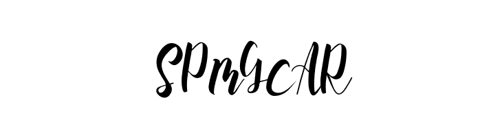 Slash Bold  Free Fonts Download