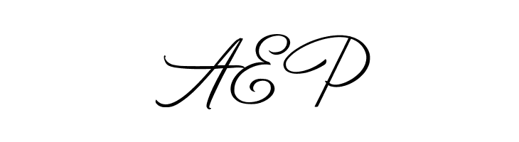 BirminghamScriptDEMO  Free Fonts Download