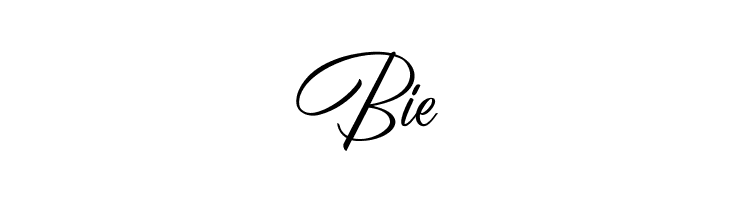 BirminghamScriptDEMO  Free Fonts Download