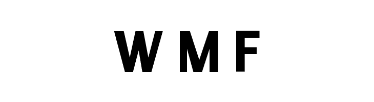 Enigmatic Bold  Free Fonts Download