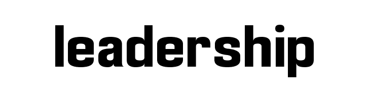 Enigmatic Bold  Free Fonts Download