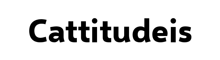 Selawik Bold  Free Fonts Download