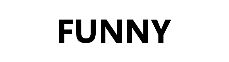 Selawik Bold  Free Fonts Download