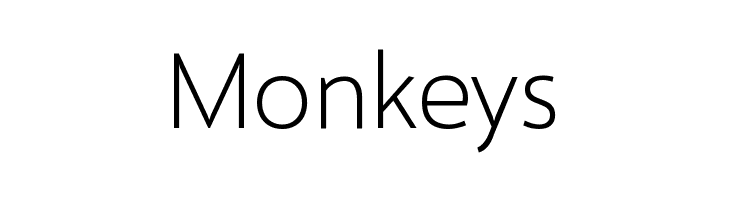 Selawik Light  Free Fonts Download