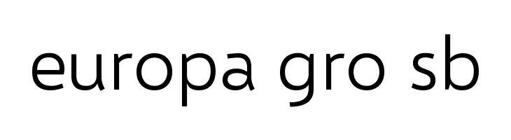 Selawik Semilight  Free Fonts Download