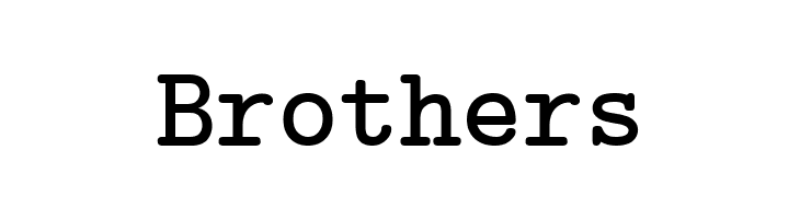 CMU Typewriter Text Bold  Free Fonts Download