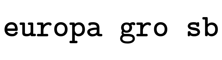 CMU Typewriter Text Bold  Free Fonts Download