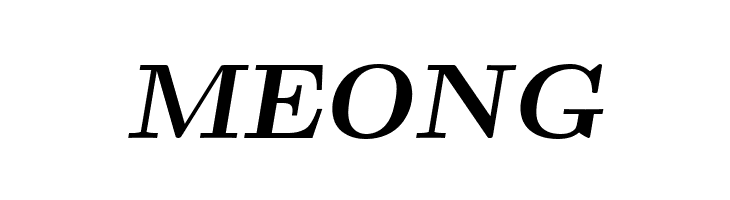 CMU Serif Extra BoldSlanted  Free Fonts Download