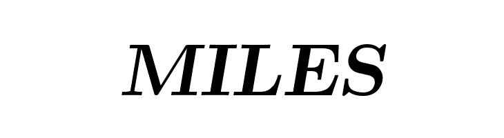 CMU Serif Extra BoldSlanted  Free Fonts Download