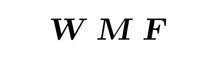 CMU Serif Extra BoldSlanted  Free Fonts Download