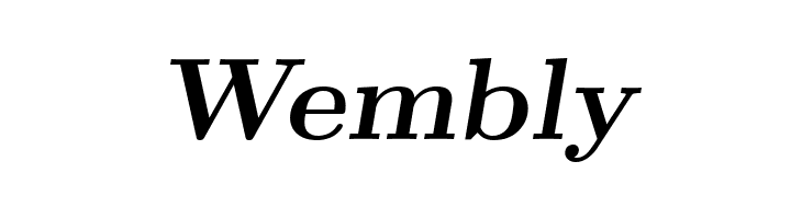 CMU Serif Extra BoldSlanted  Free Fonts Download