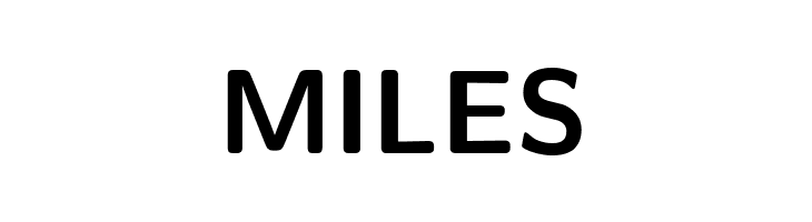 CMU Sans Serif Bold  Free Fonts Download