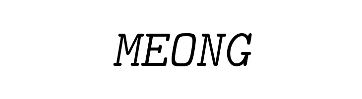 CMU Typewriter Text LightOblique  Free Fonts Download