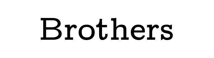 CMU Concrete Bold  Free Fonts Download