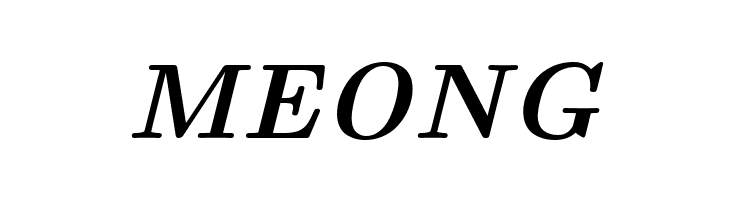 CMU Serif BoldItalic  Free Fonts Download