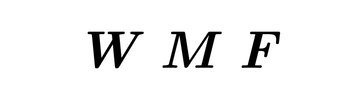 CMU Serif BoldItalic  Free Fonts Download