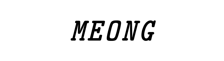 CMU Typewriter Text BoldItalic  Free Fonts Download