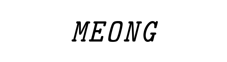 CMU Typewriter Text Italic  Free Fonts Download