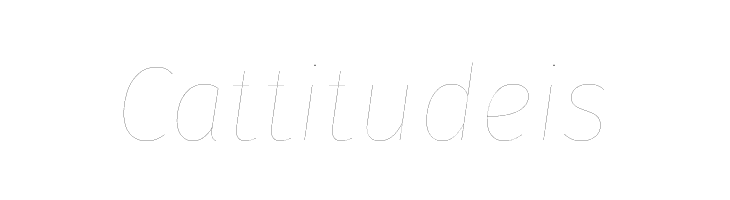 Fira Sans Two Italic  Free Fonts Download