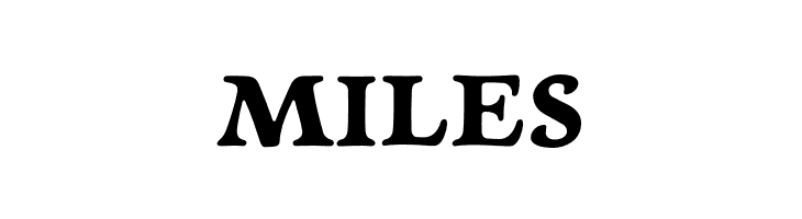 NewtSerifBold  Free Fonts Download