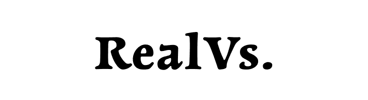 NewtSerifBold  Free Fonts Download