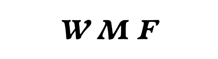 NewtSerifBold-Italic  Free Fonts Download