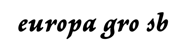 NewtSerifBold-Italic  Free Fonts Download