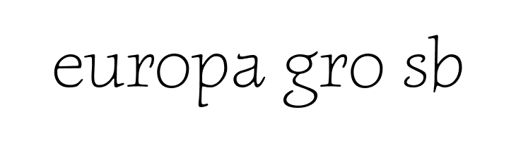 NewtSerifLight  Free Fonts Download