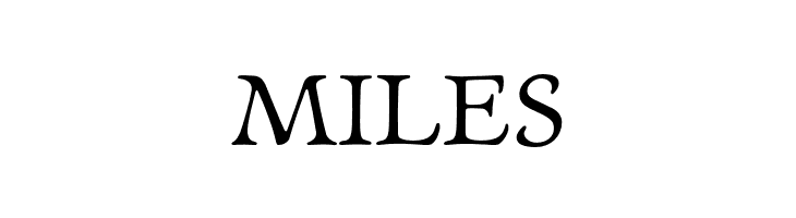 NewtSerif  Free Fonts Download