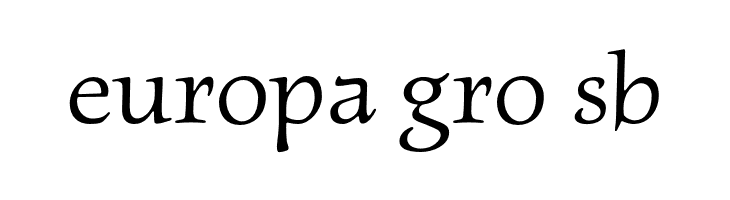 NewtSerif  Free Fonts Download