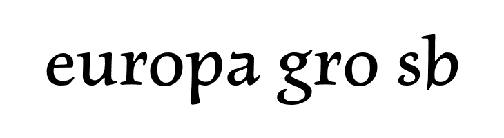 NewtSerifDemi  Free Fonts Download