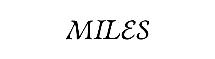 NewtSerif-Italic  Free Fonts Download