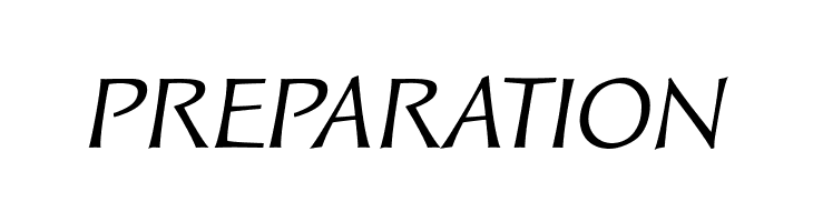 Solveig Text Italic  Free Fonts Download