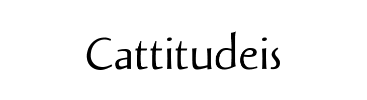 Solveig Text  Free Fonts Download