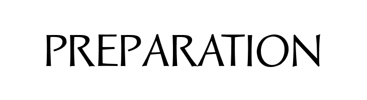 Solveig Text  Free Fonts Download