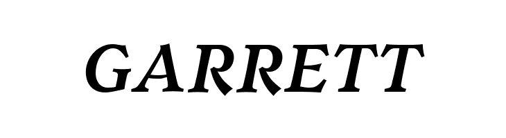 Walleye Bold Italic  Free Fonts Download