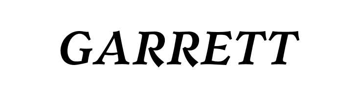 Walleye-BoldItalic  Free Fonts Download