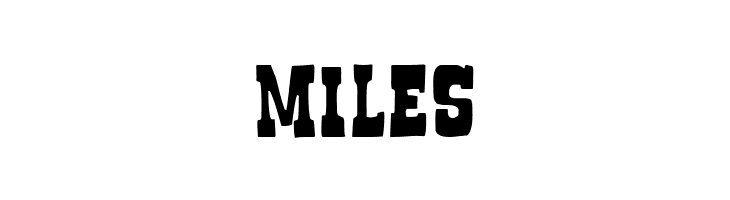 Boncegro FF 4F  Free Fonts Download