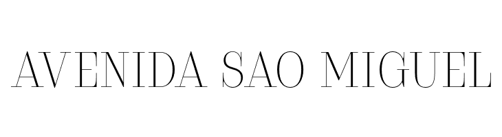 Serifiqo4FFreeCapitals  Free Fonts Download