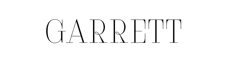 Serifiqo4FFreeCapitals  Free Fonts Download