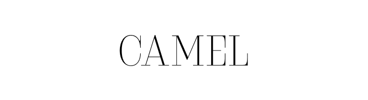 Serifiqo4FFreeCapitals  Free Fonts Download