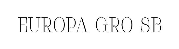 Serifiqo4FFreeCapitals  Free Fonts Download