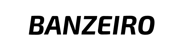 Exo 2.0 Bold Italic  Free Fonts Download