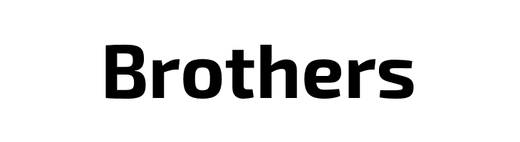 Exo 2.0 Bold  Free Fonts Download